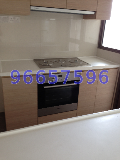 Parc Vera (D19), Condominium #44460272